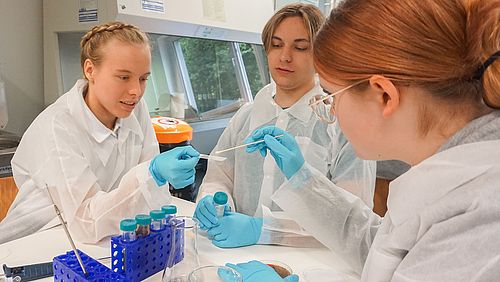Die Schülerinnen und Schüler duften im Labor für Mikrobiologie der OTH Amberg-Weiden eigene Experimente durchführen
