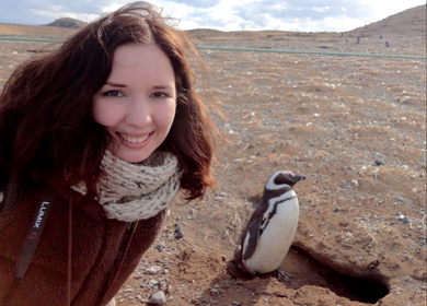 Pinguin-Selfie