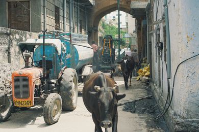 Typische Szenen aus Indien