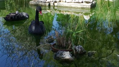 San Anton Gardens and Palace